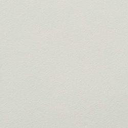 cuoio rigido-grigio perla